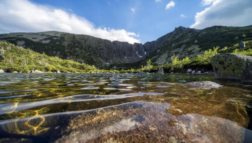 widok (35)